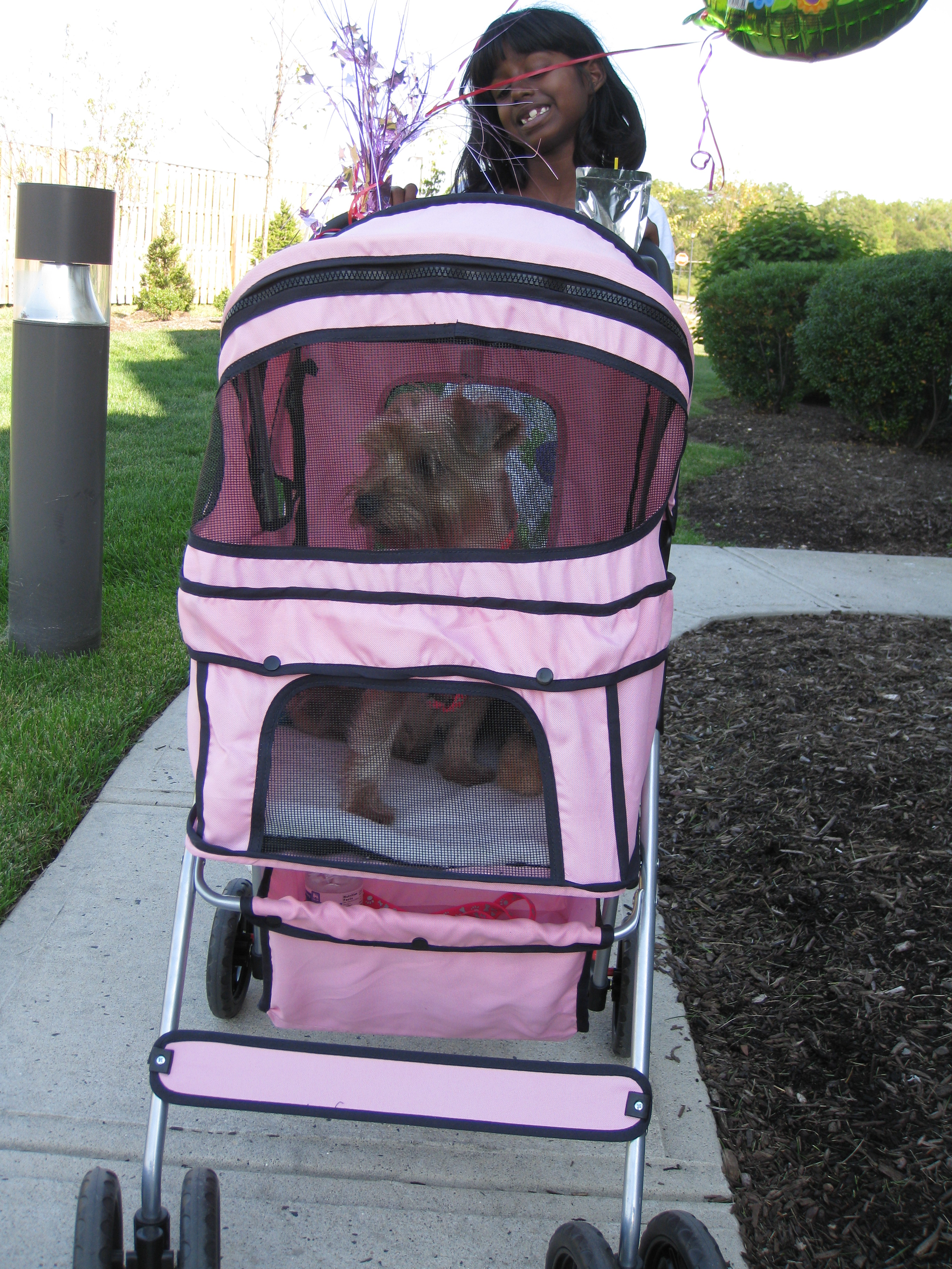 WATN Layla now Angel 1