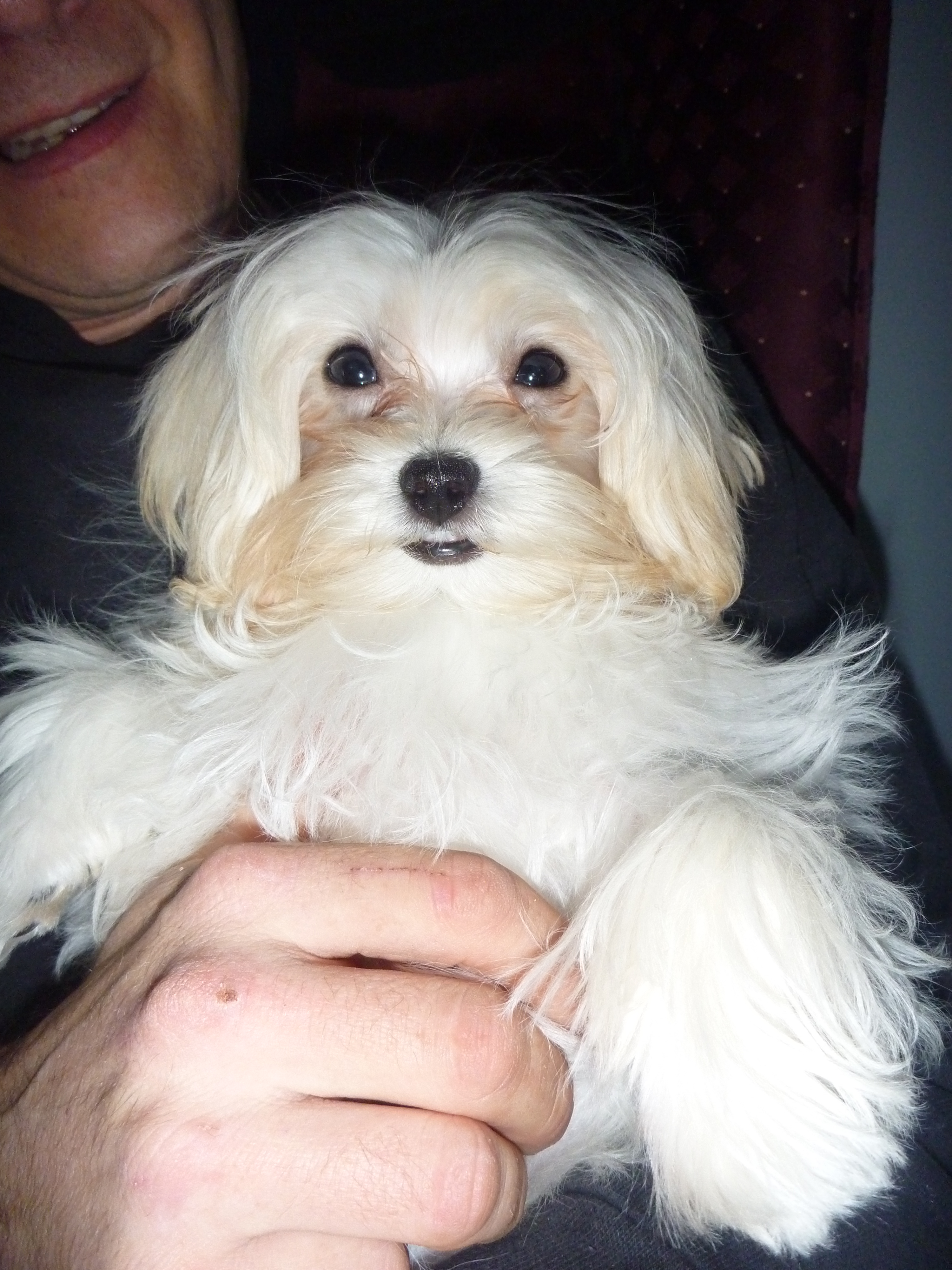 WATN Bianca aka Shyla 1