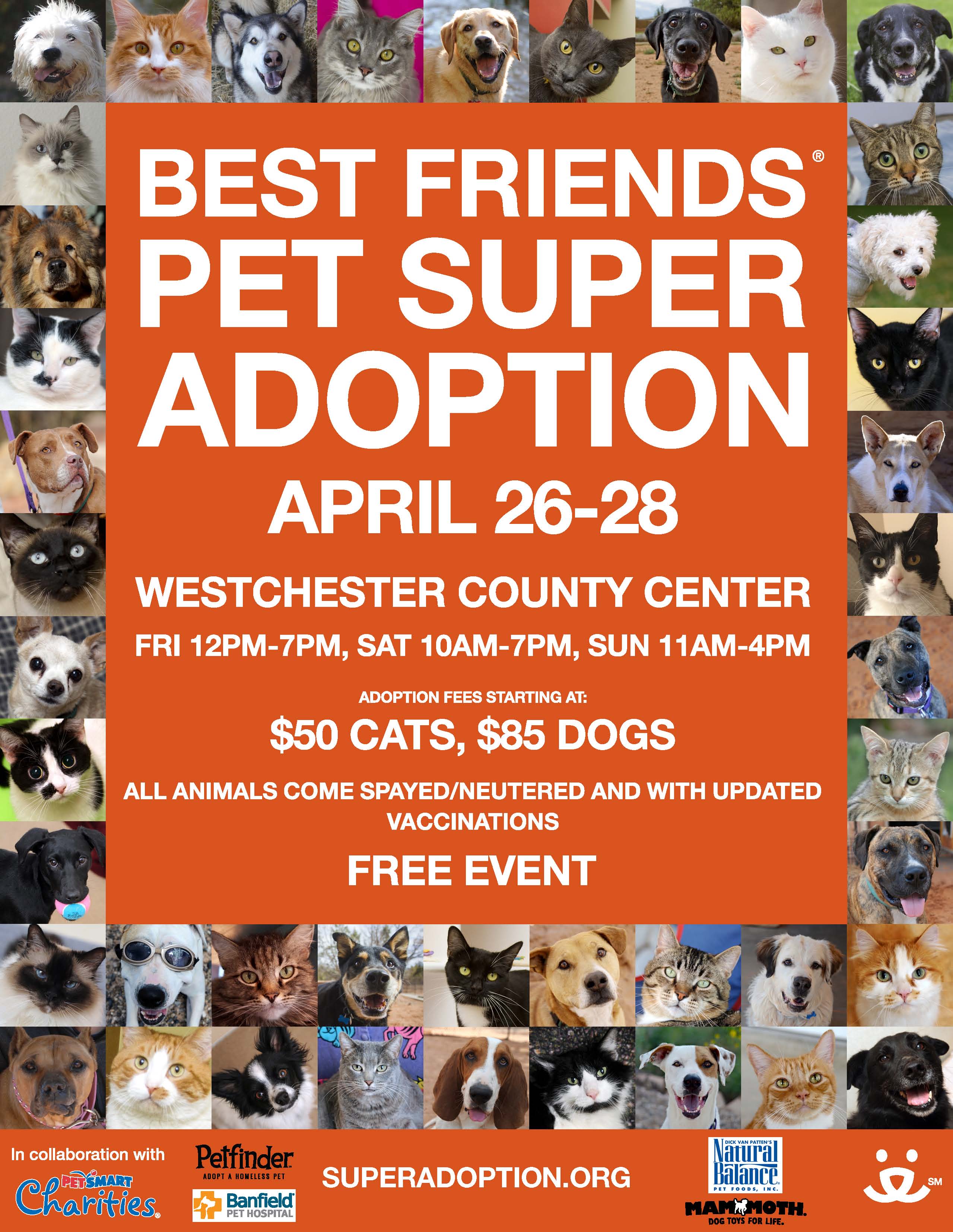 13.04.28 Super Adoption
