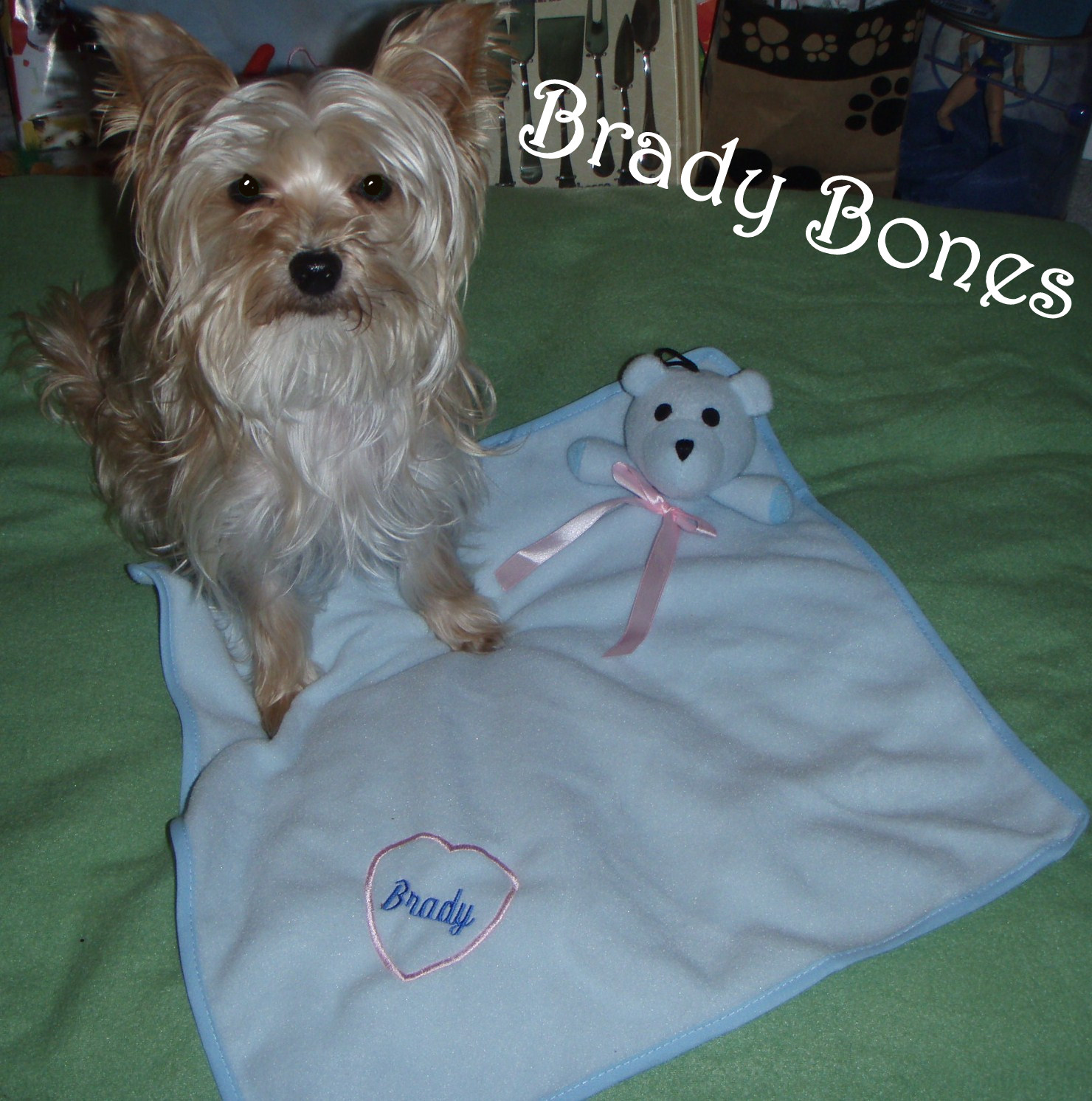 WATN Brady Bones