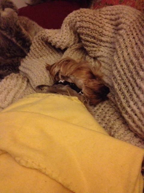 WATN Magnificent Mimi