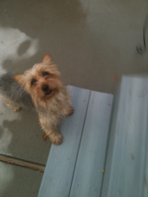 WATN Angelina aka Abby now II