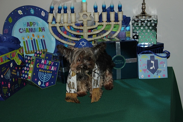 12 Howliday AJ aka PipSqueak