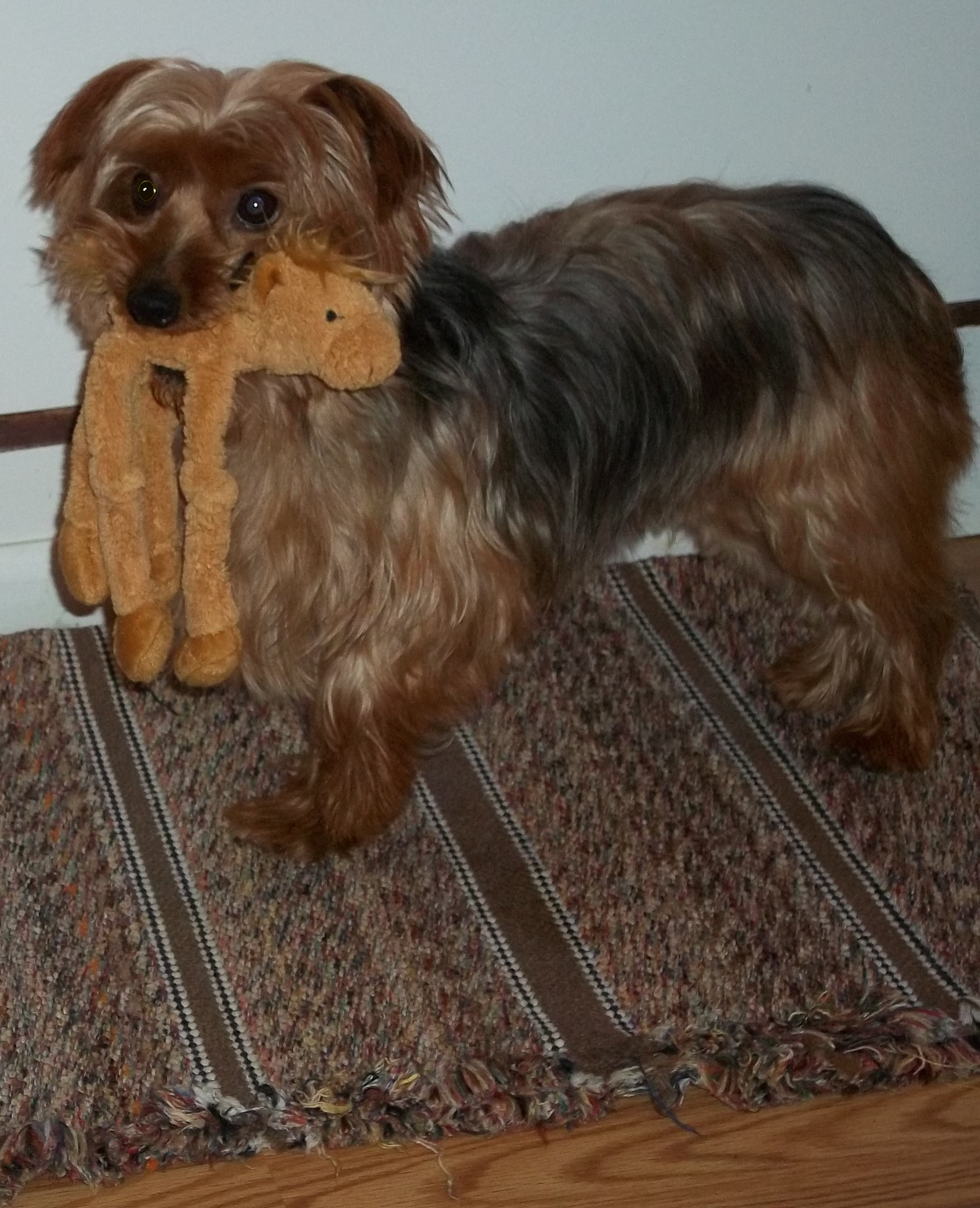 WATN Gigi Holding Toy