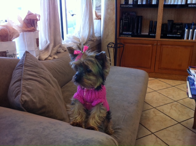 WATN Sierra @ Tapestry Salon