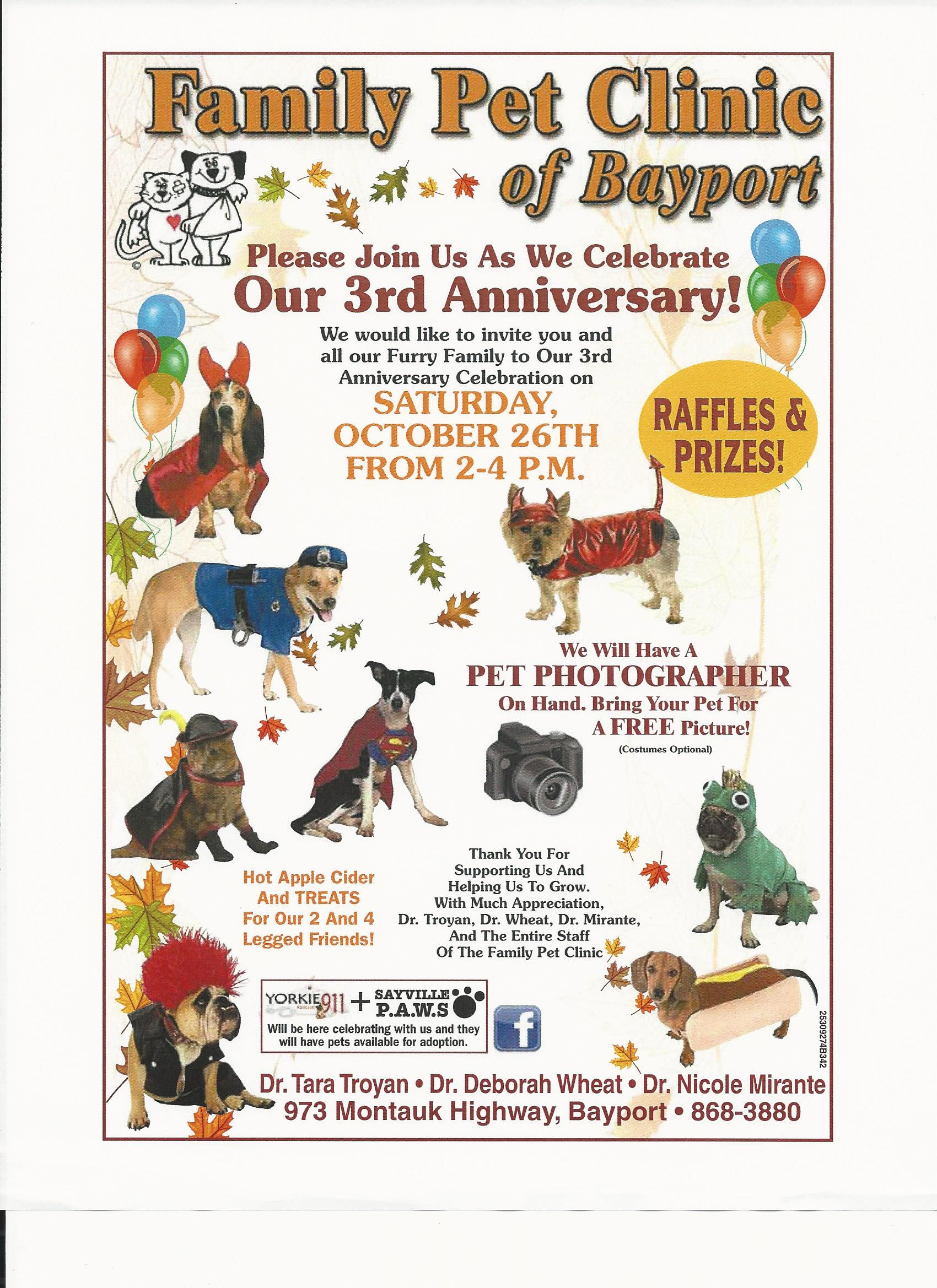 Family Pet 3rd Anniversary