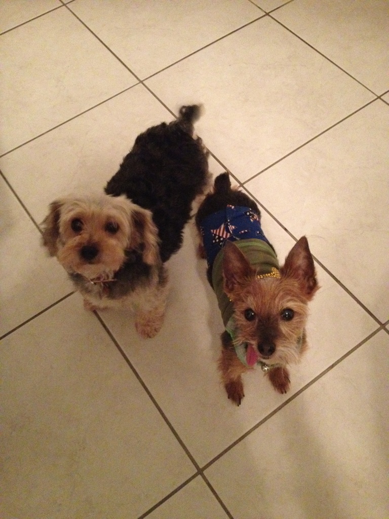 WATN Amaretta & Monkey Man