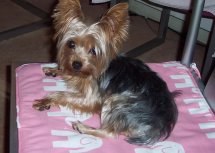 WATN Bristol now Lexi