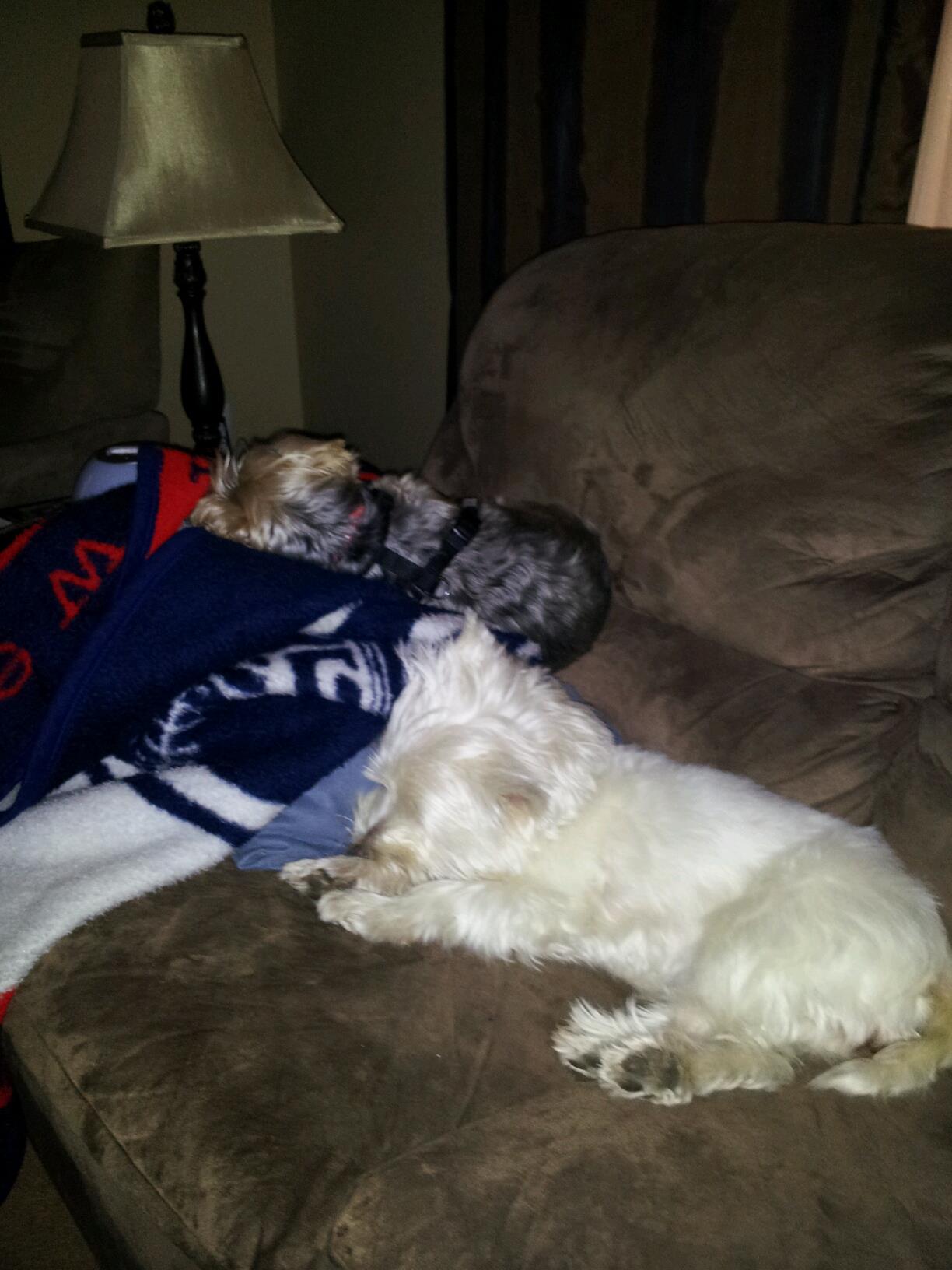 WATN Layla now Angel 2