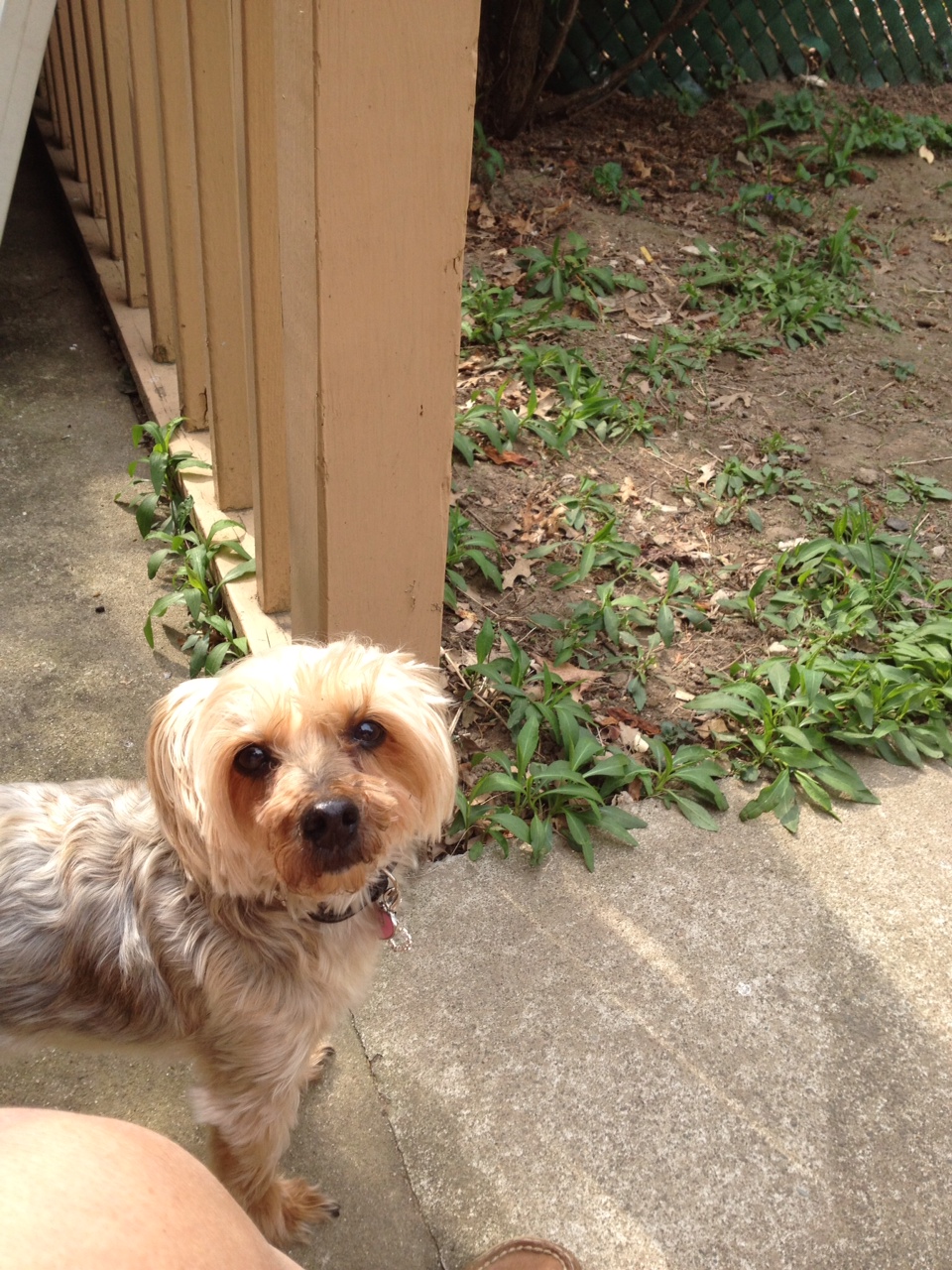 WATN Magnificent Mimi II