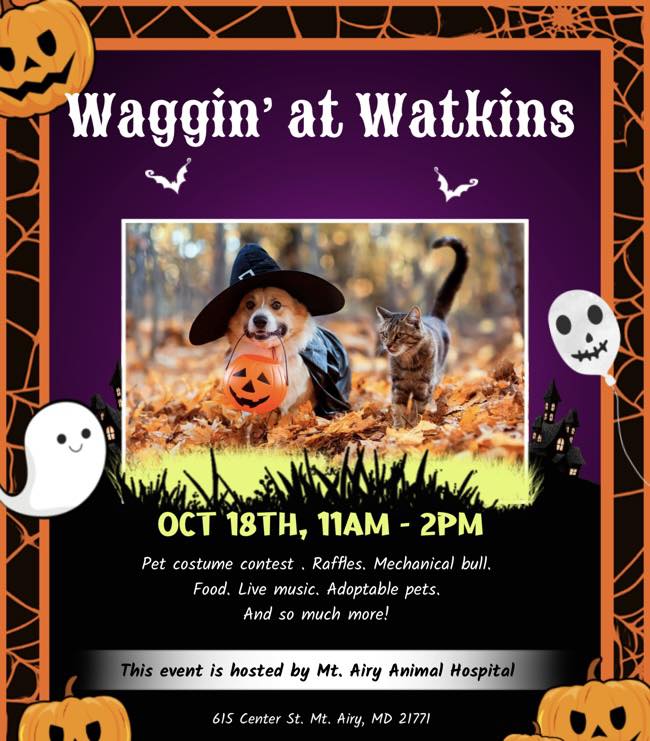 Waggin at Watkins 1