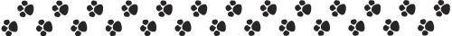 paw print paw print