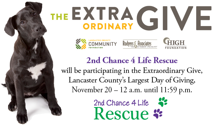 happy jack mange treatment