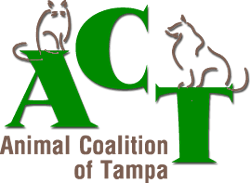 ACT Logo ACT Logo