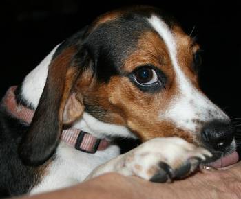 ZOEY4 ZOEY4