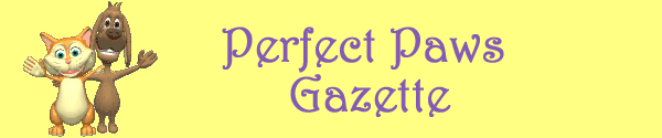 gazette banner gazette banner