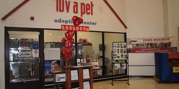 PAWS Wakefield Pet Adoption Information
