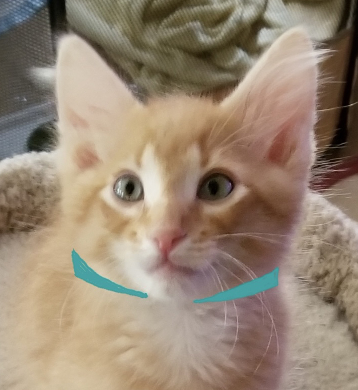 Calypso (now Sadie)'s  Page