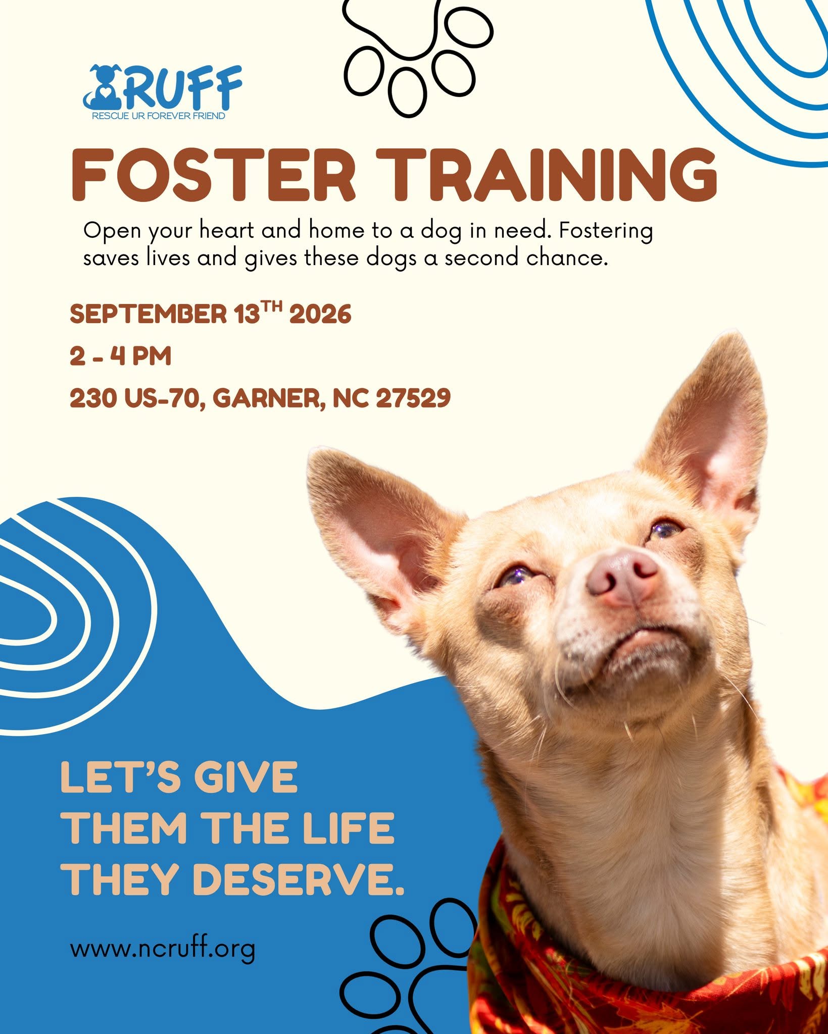 Foster Training 2026