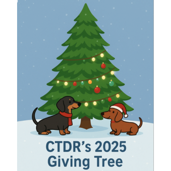 CTDR’s 2025 Giving Tree — click to visit