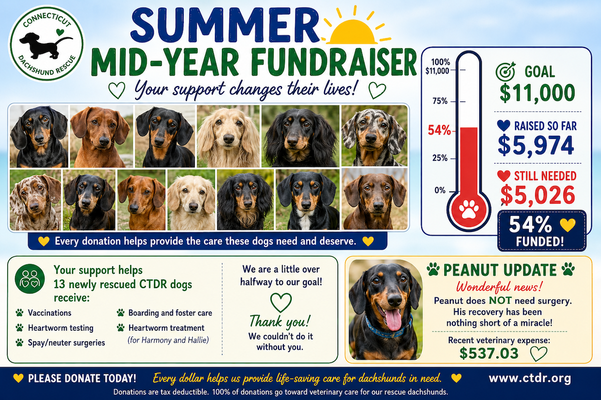 CTDR Summer Mid-Year Fundraiser