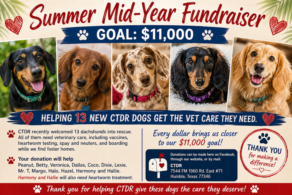 CTDR Summer Mid-Year Fundraiser