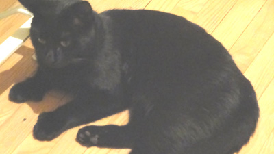 Smudge_2
