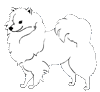 small eskie dwg