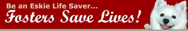 rescue banner rescue banner