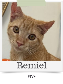 Remiel
