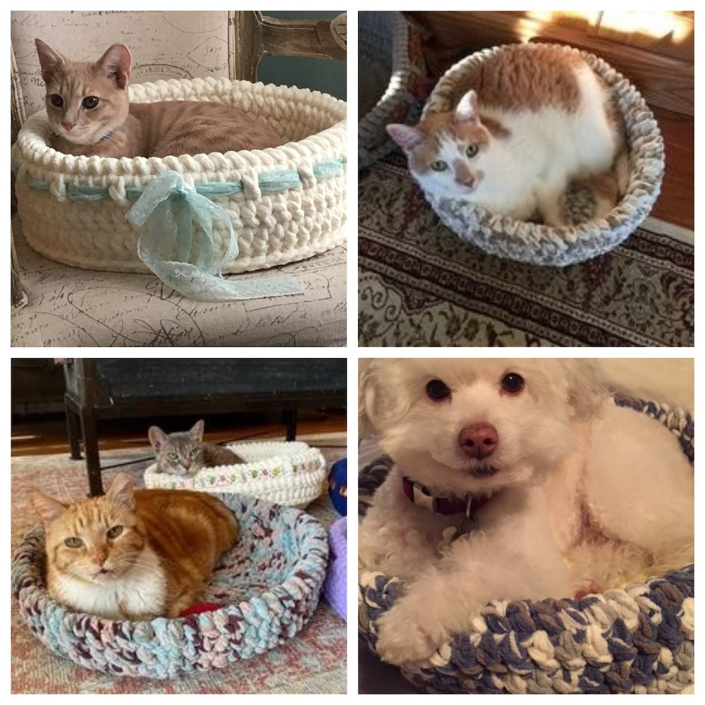 2024 KSC Cat Bed sale photo