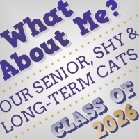 What Abobut Me? Class of 2026