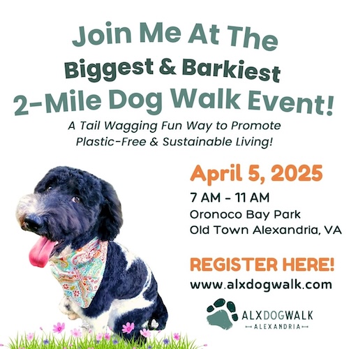 2025 ALX Dog Walk Poster