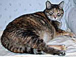 Pamina