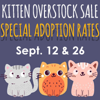 Sept. 12 & 26