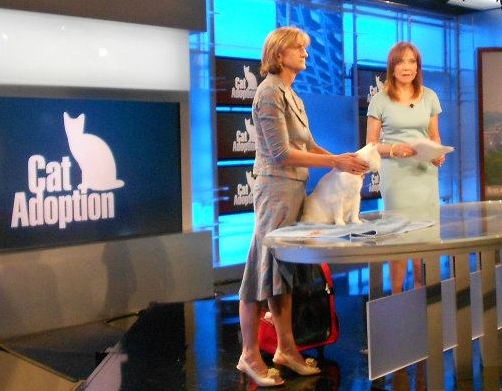 Mary Beth Corrigan on NBC 4 News