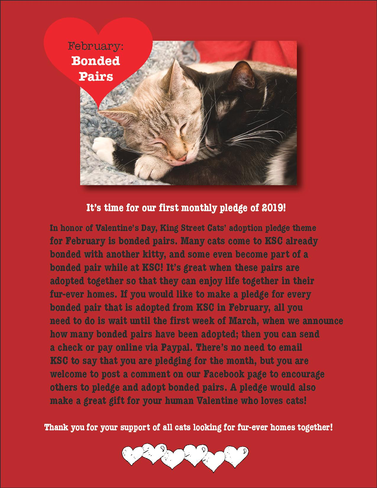 Adoption Pledge Feb 2019