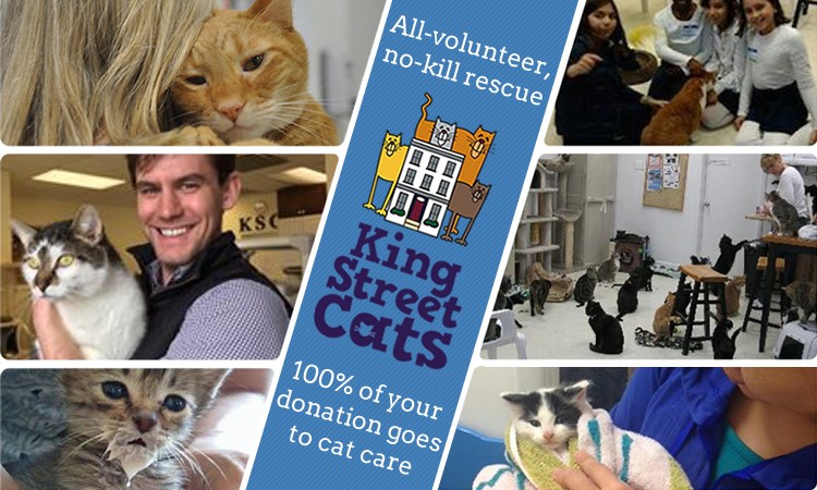 2021 Volunteers General