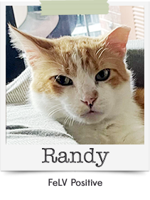 Randy