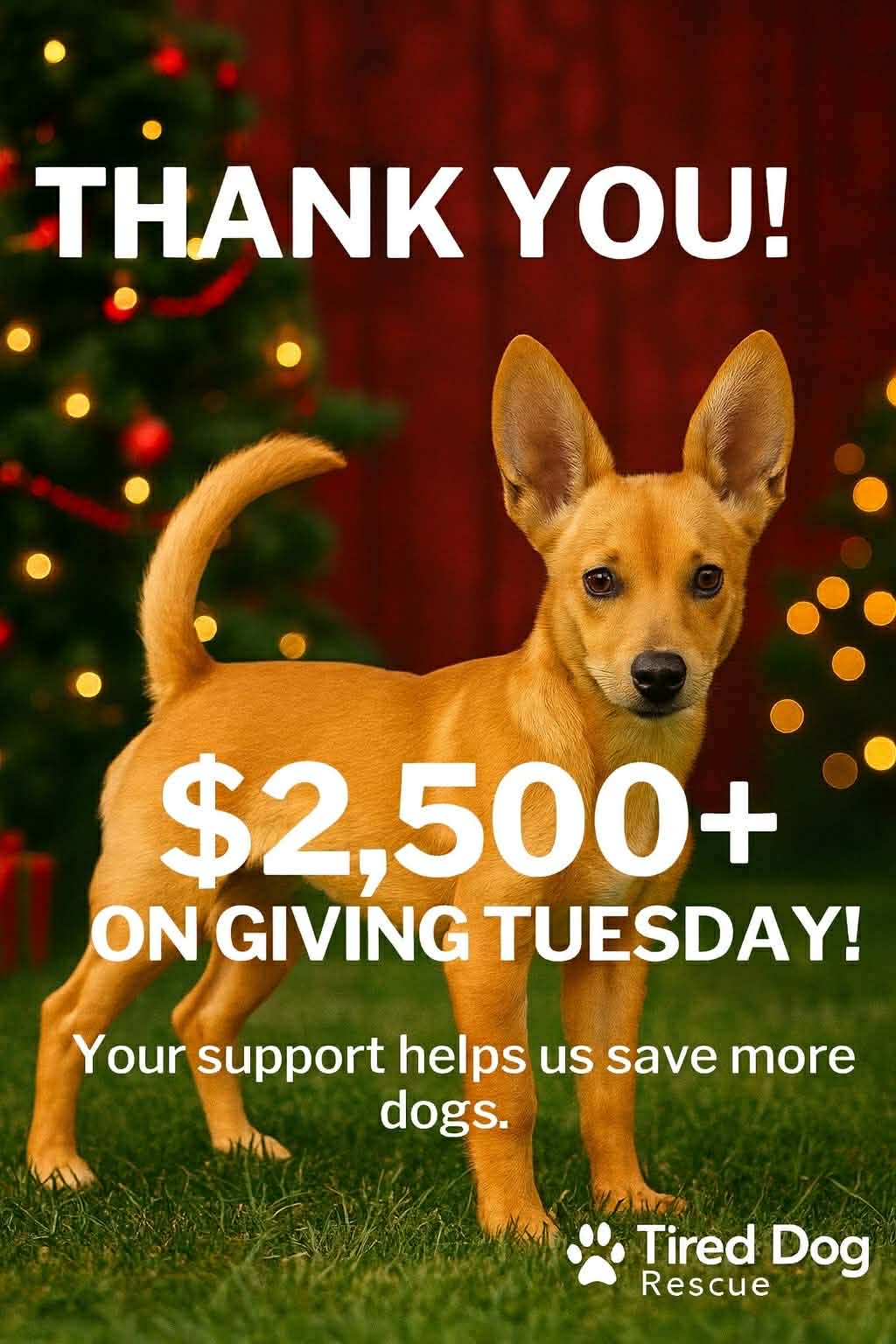 givetuesthanx givetuesthanx