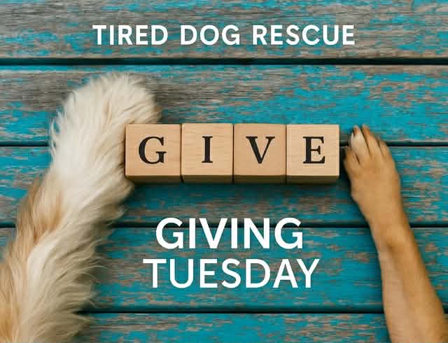 givetues25.jpg givetues25.jpg