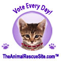 SC-cat1 SC-cat1
