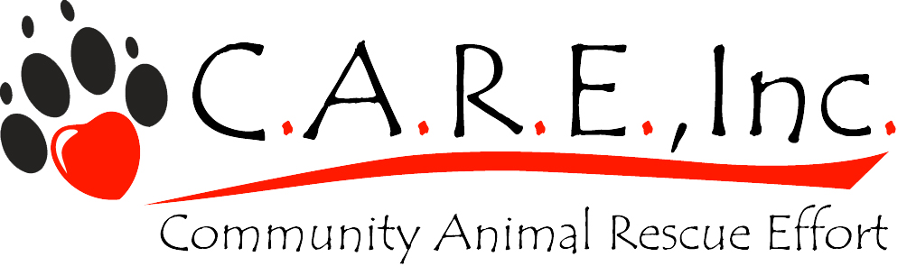 CARE logo