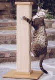 scratching post2