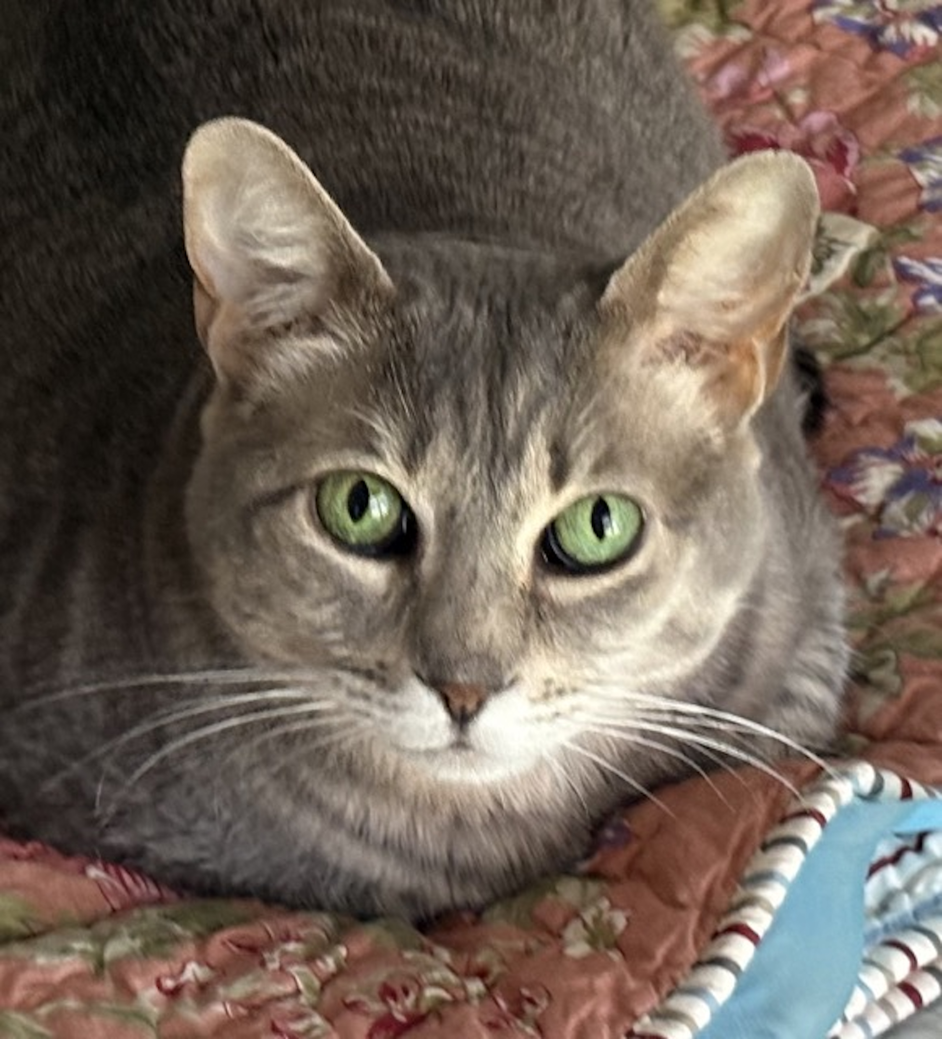 duchess--MemoryPageApr2026 duchess--MemoryPageApr2026