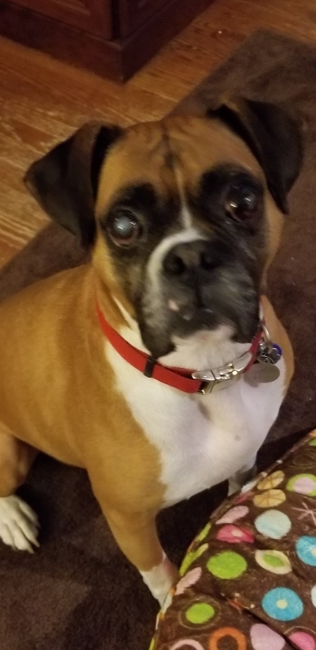 Cooper in IL