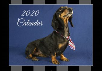 2020 Wall Calendar 2020 Wall Calendar