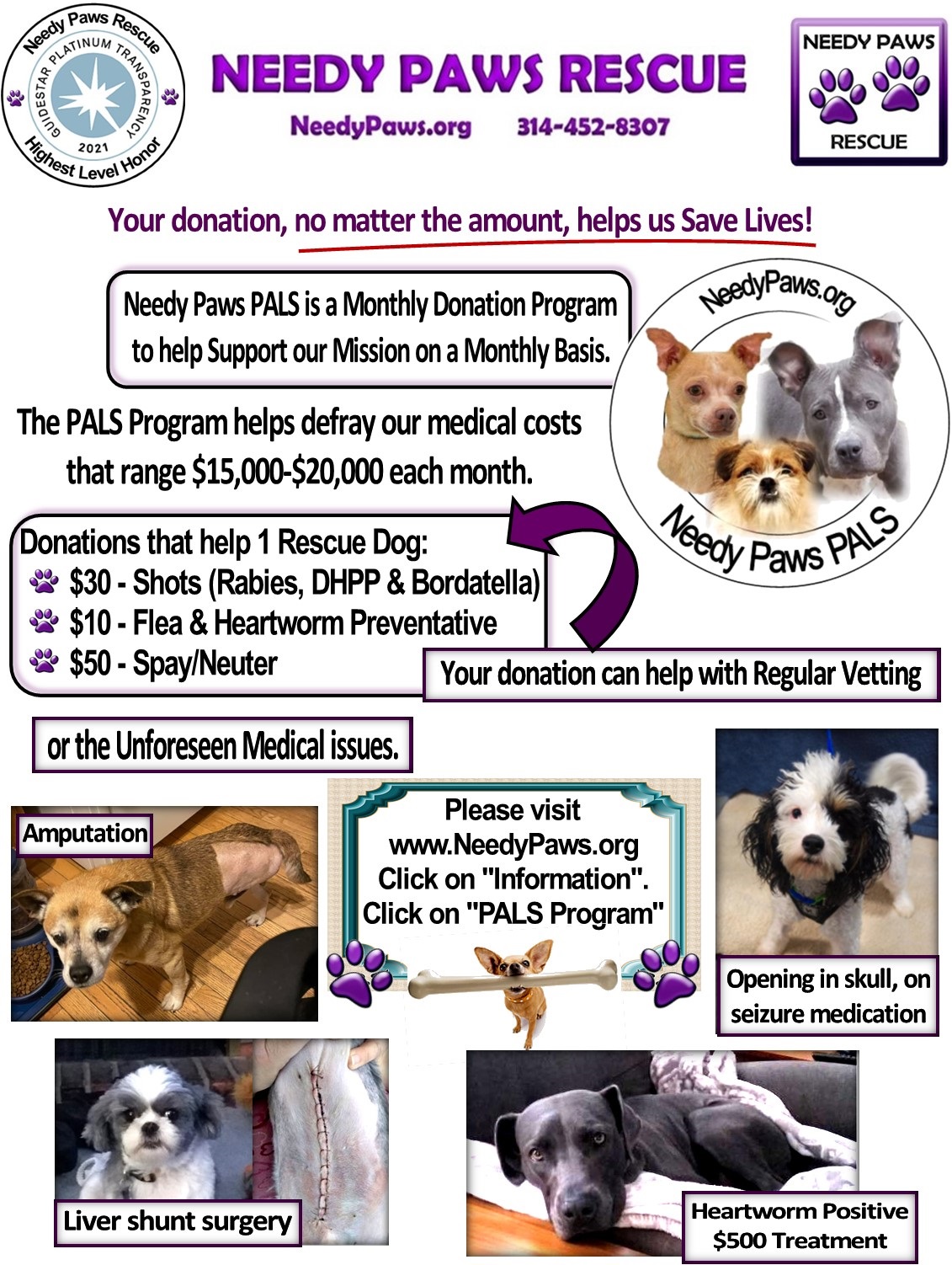 How To Help A Needy Dog