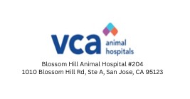 VCA Animal Hospitals Logo