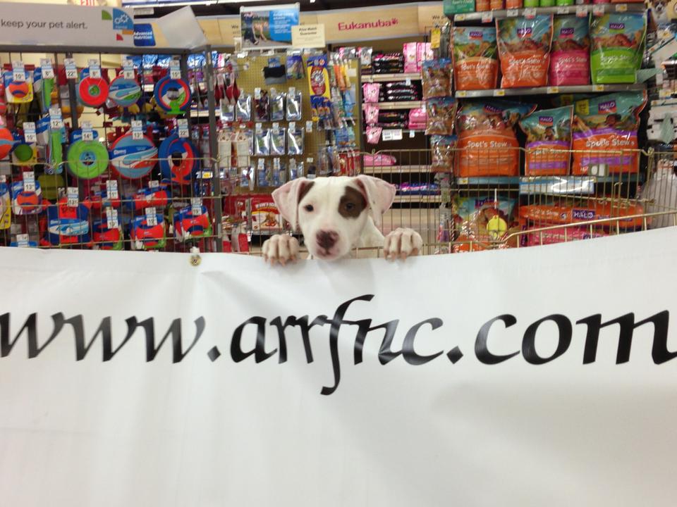 arrfbannerpetco